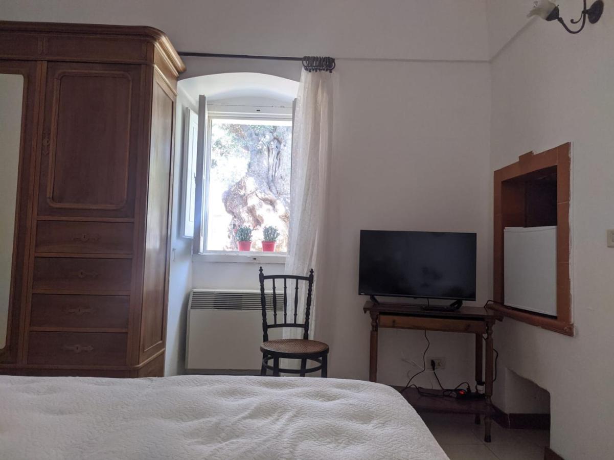 Masseria Vagone Macchia di Monte Esterno foto